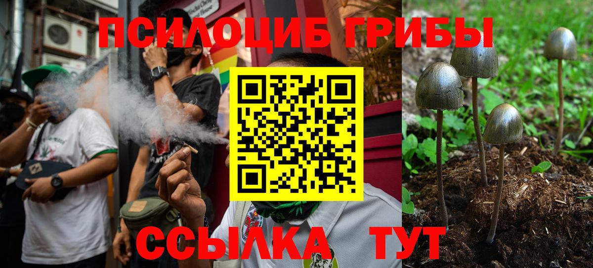 Горно-Алтайск  Галлюциногенные грибы Magic Shrooms  Вход с VPN  Псилоцибиновые грибы GOLDEN TEACHER 